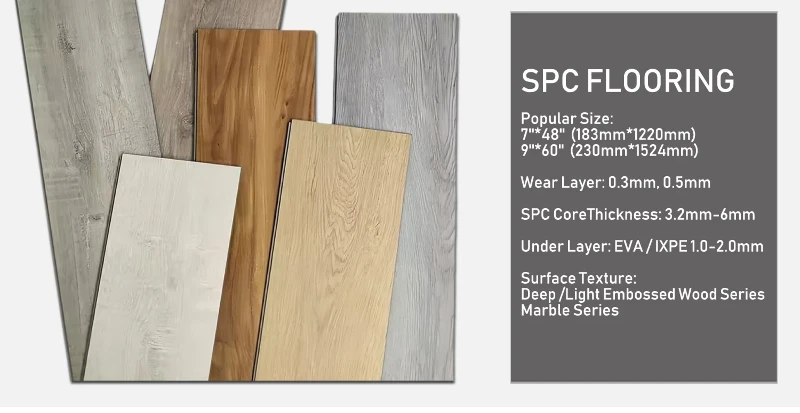 SPC02 SPC02