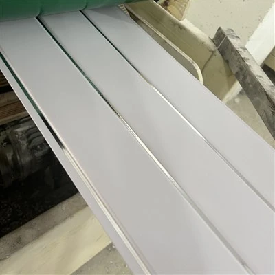 PVC Ceiling